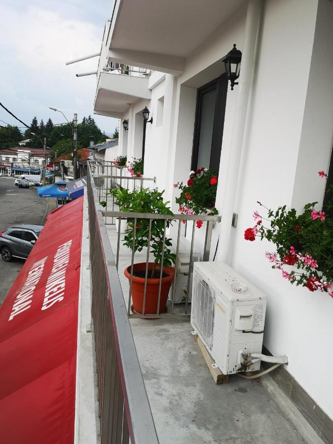Pensiunea Mikelis International Hotel Curtea De Arges Exterior photo