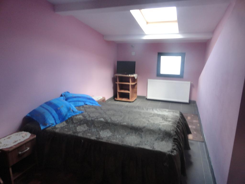 Pensiunea Mikelis International Hotel Curtea De Arges Room photo